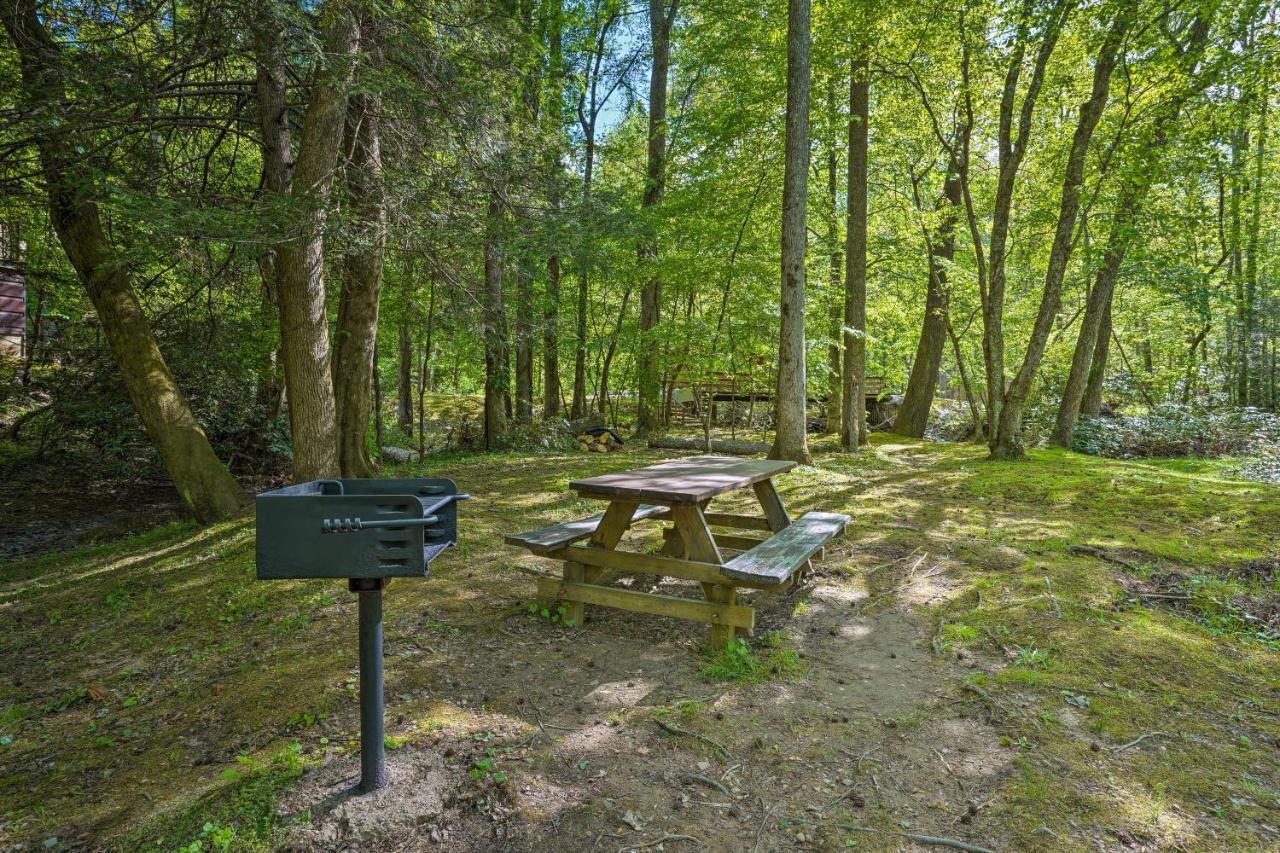 Cozy Tellico Plains Cabin With Large Mountain Creek! エクステリア 写真