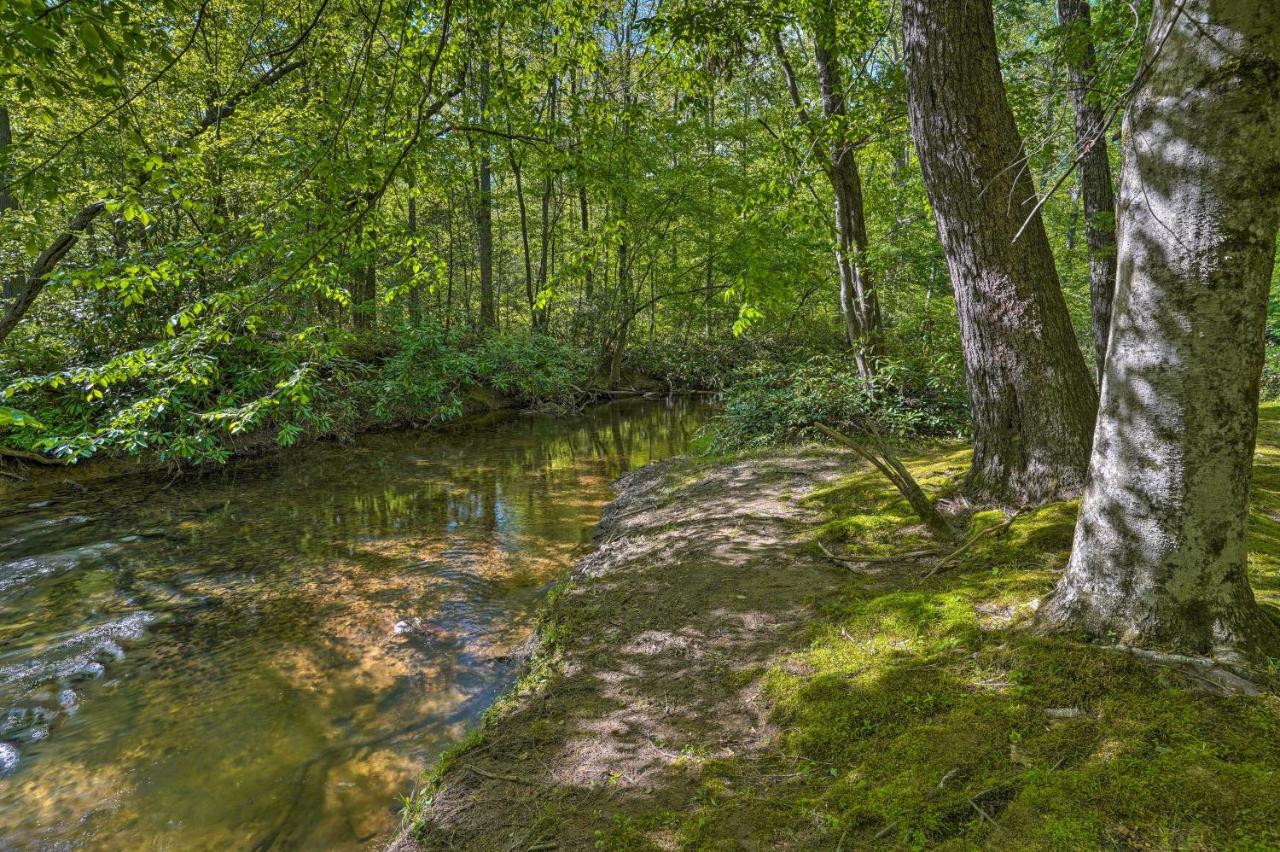 Cozy Tellico Plains Cabin With Large Mountain Creek! エクステリア 写真