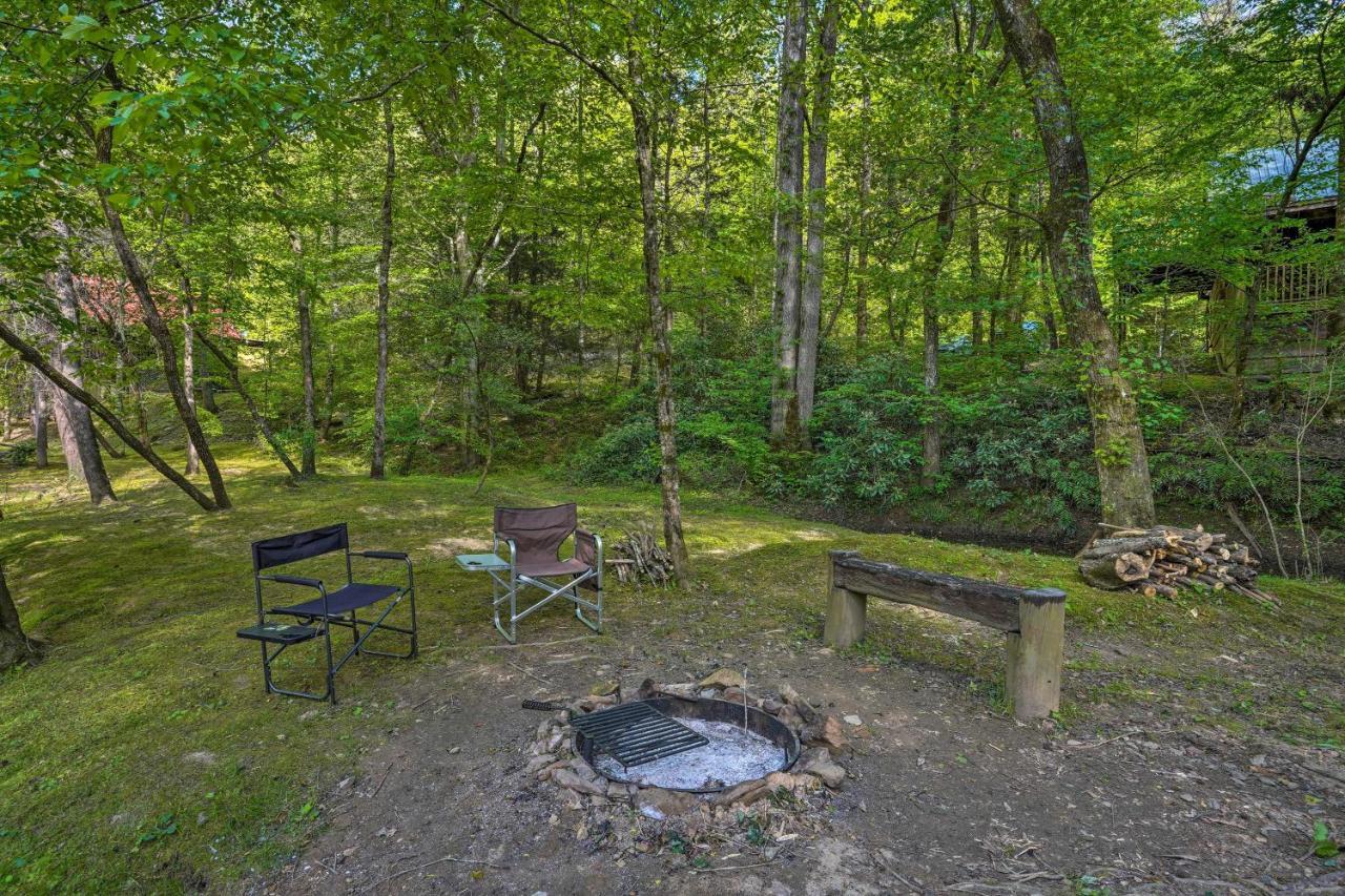 Cozy Tellico Plains Cabin With Large Mountain Creek! エクステリア 写真