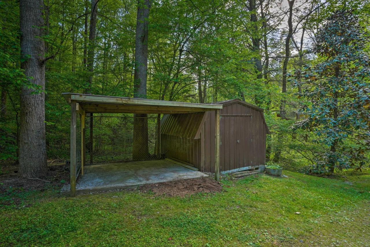 Cozy Tellico Plains Cabin With Large Mountain Creek! エクステリア 写真